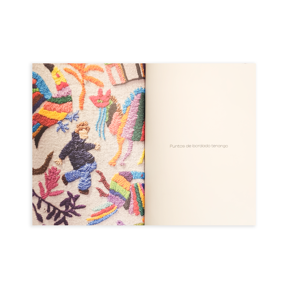 Camino a Tenango - Gimena Romero