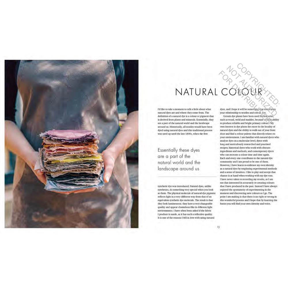 The Wild Dyer - Abigail Booth