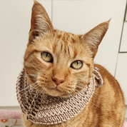 Bandana Amigo Fiel