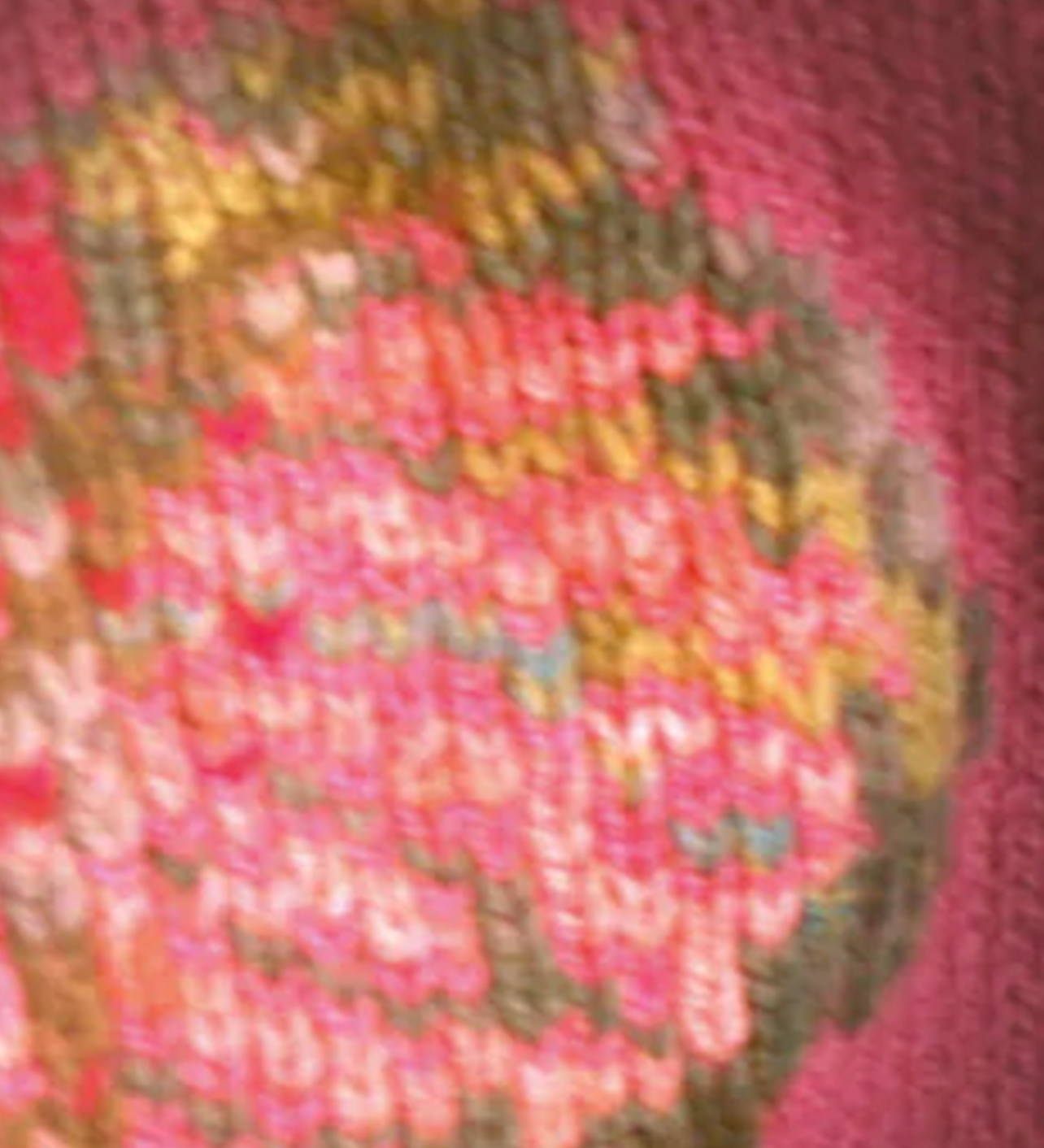 caladium_foto-1.png