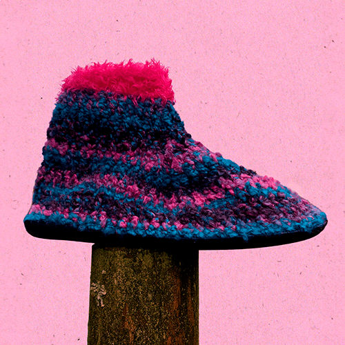 pantuflas-bryophyta_foto-cuadrada.png