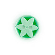 Bot&oacute;n Pl&aacute;stico Redondo Estrella Verde Lima