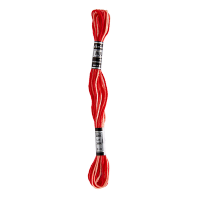 Hilos para Bordar Mulina - Variedad Multicolor